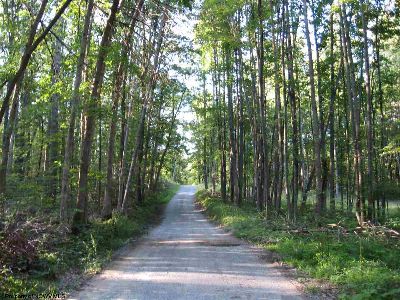 0 Sapp-weaver Road Independence, WV 26374 - Photo 2 of 2 Gallery Image 2