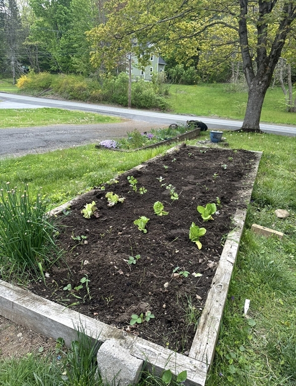 300 Main Road Colrain, MA 01340 - Photo 37 of 41 a view of a garden with an outdoor space