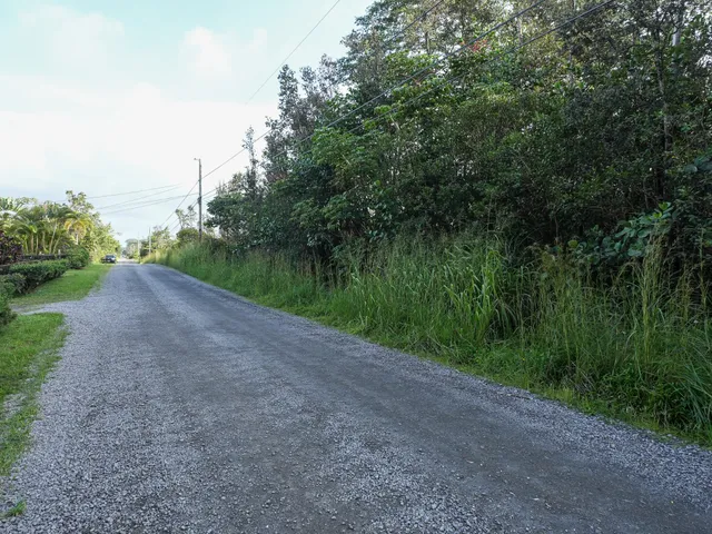 a view of a pathway with a park