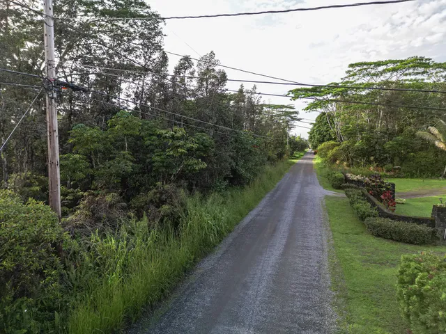 a view of a pathway both side of green field