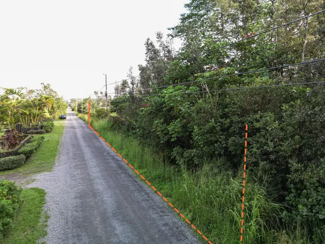 a view of trees and bushes