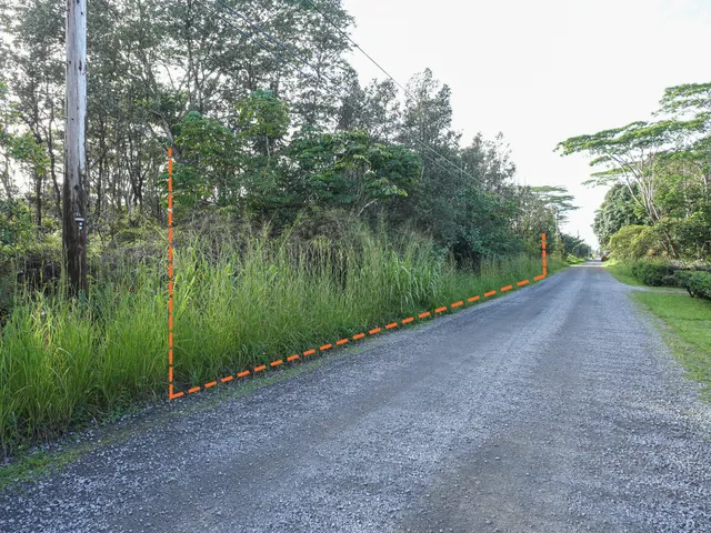 a view of a lake with a yard and large trees