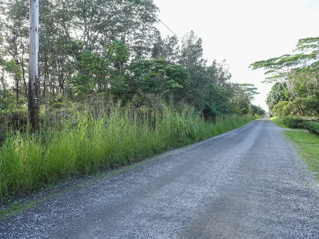 a view of a yard with a tree