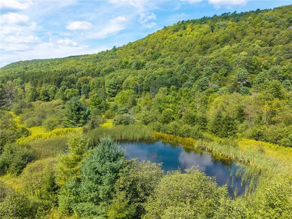 $299,000 | 212 Morrell Road, Worcester, NY 12197