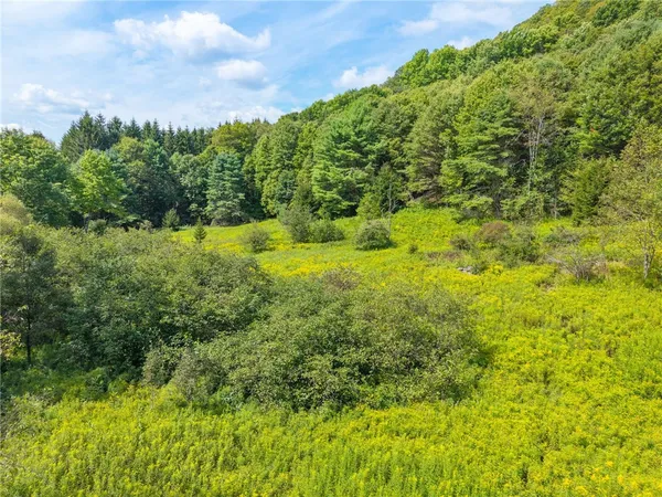 $299,000 | 212 Morrell Road, Worcester, NY 12197