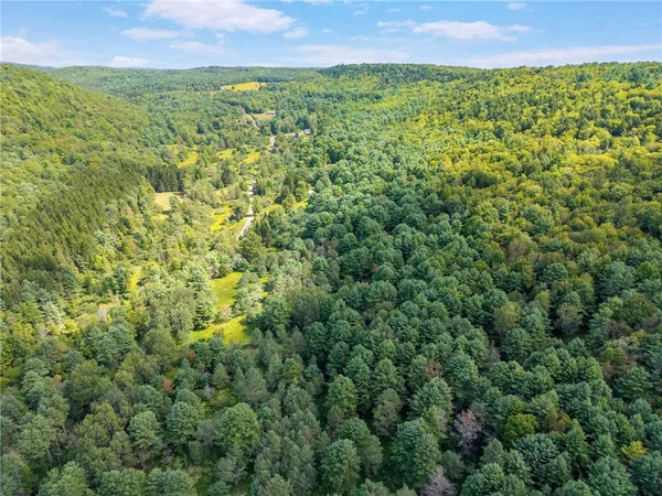 $299,000 | 212 Morrell Road, Worcester, NY 12197