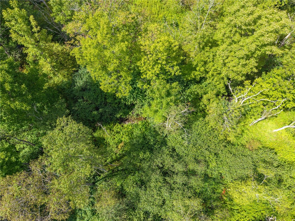 212 Morrell Road Worcester, NY 12197 - Photo 21 of 26