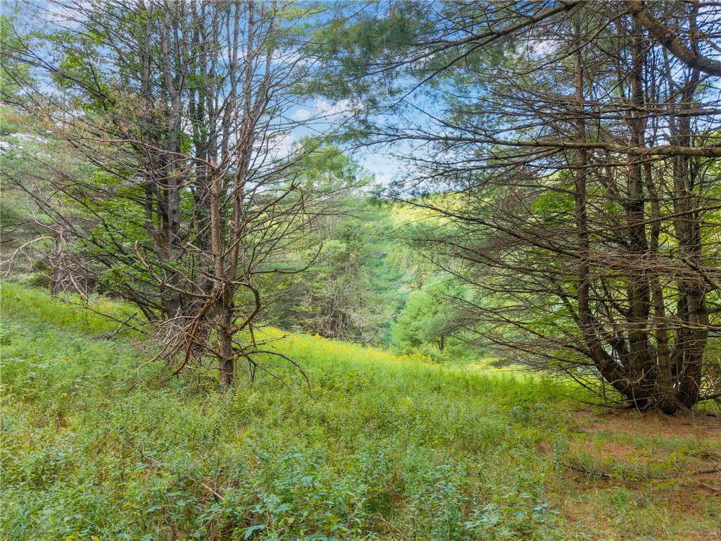 212 Morrell Road Worcester, NY 12197 - Photo 24 of 26