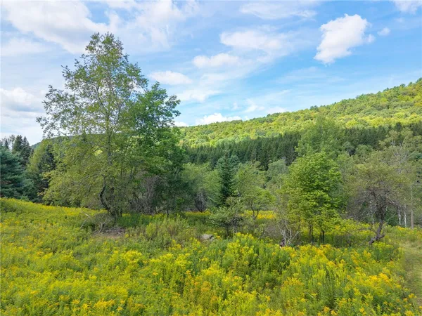 $299,000 | 212 Morrell Road, Worcester, NY 12197