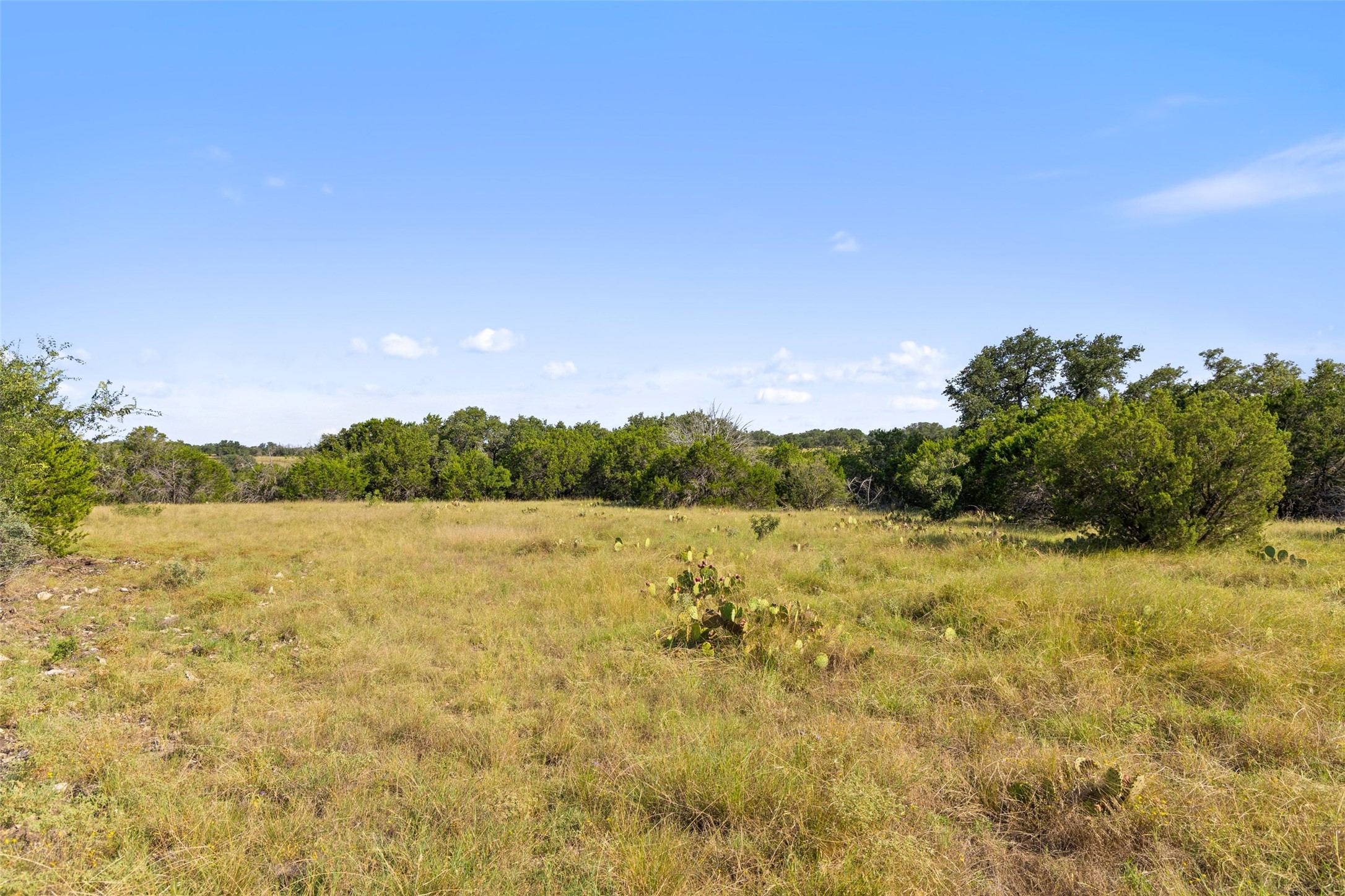 2915 Spring Crossing Junction, TX 76849 - Photo 12 of 31 A spacious, open field with natural vegetation and a distant tree line, offering an undeveloped canvas.