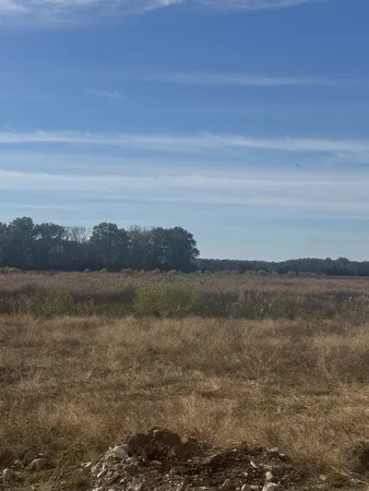 $225,000 | 15283 Hwy 99 Eagleville Tn 37060, Eagleville, TN 37060