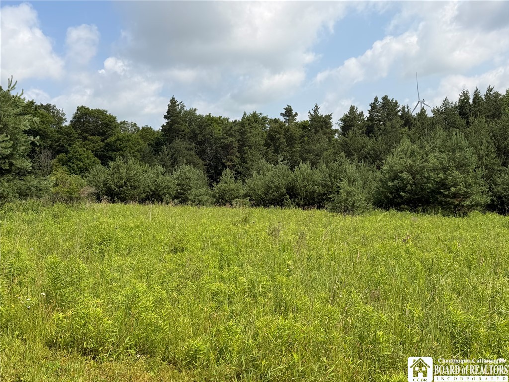 2751 Canfield Road Cohocton, NY 14826 - Photo 12 of 50
