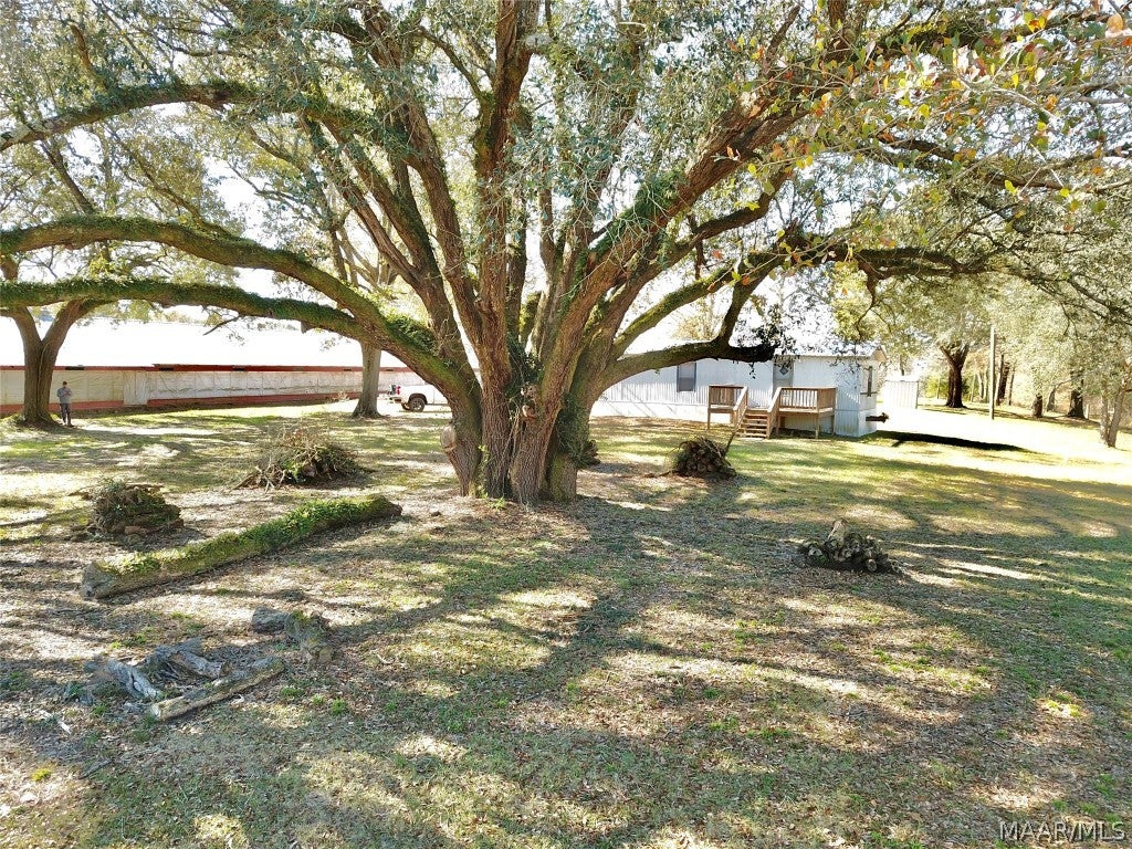 2799 Alford Road Samson, AL 36477 - Photo 18 of 35 Gallery Image 18