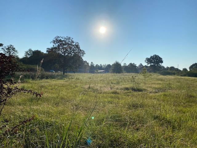 3.185-acres Timber Rdg Road Franklinton, LA 70438 - Photo 8 of 16 Gallery Image 8