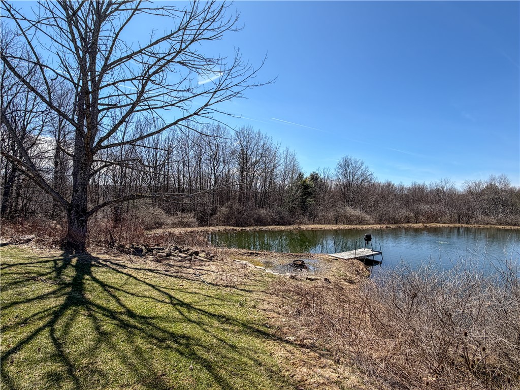 1953 Cemetery Hill Road West Union, NY 14877 - Photo 25 of 40