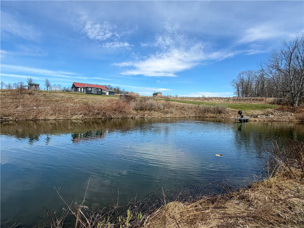1953 Cemetery Hill Road West Union, NY 14877 - Photo 3 of 40