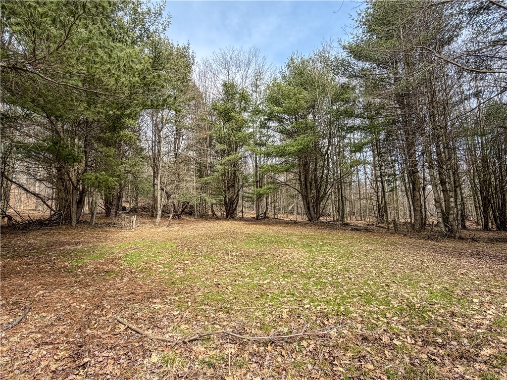 1953 Cemetery Hill Road West Union, NY 14877 - Photo 33 of 40