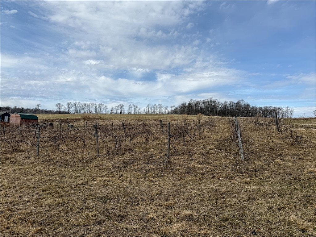 1953 Cemetery Hill Road West Union, NY 14877 - Photo 35 of 40