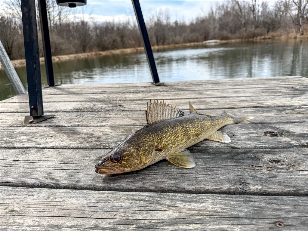 1953 Cemetery Hill Road West Union, NY 14877 - Photo 36 of 40