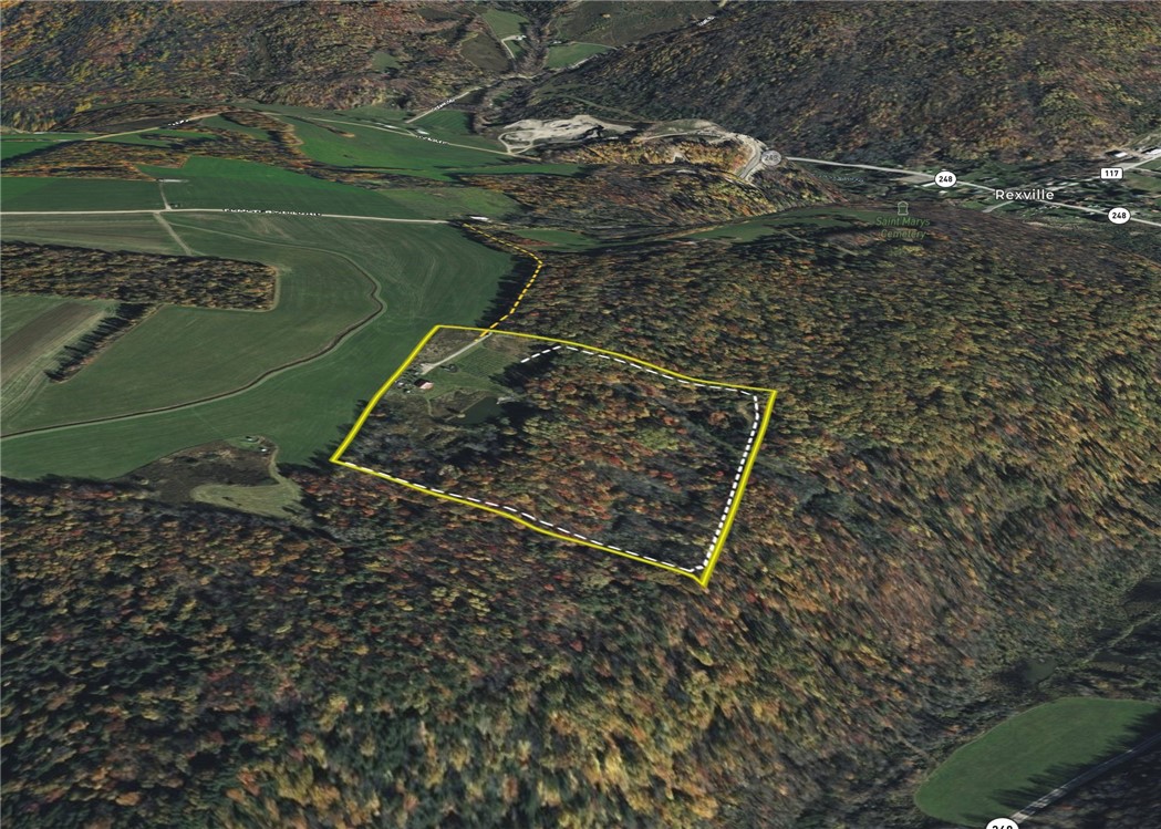 1953 Cemetery Hill Road West Union, NY 14877 - Photo 39 of 40