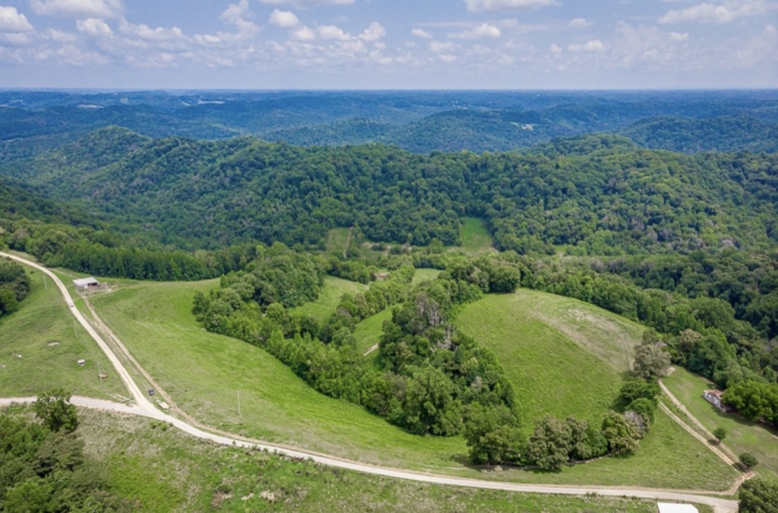 0 Tucker Ridge Road Silver Point, TN 38582 - Photo 2 of 50