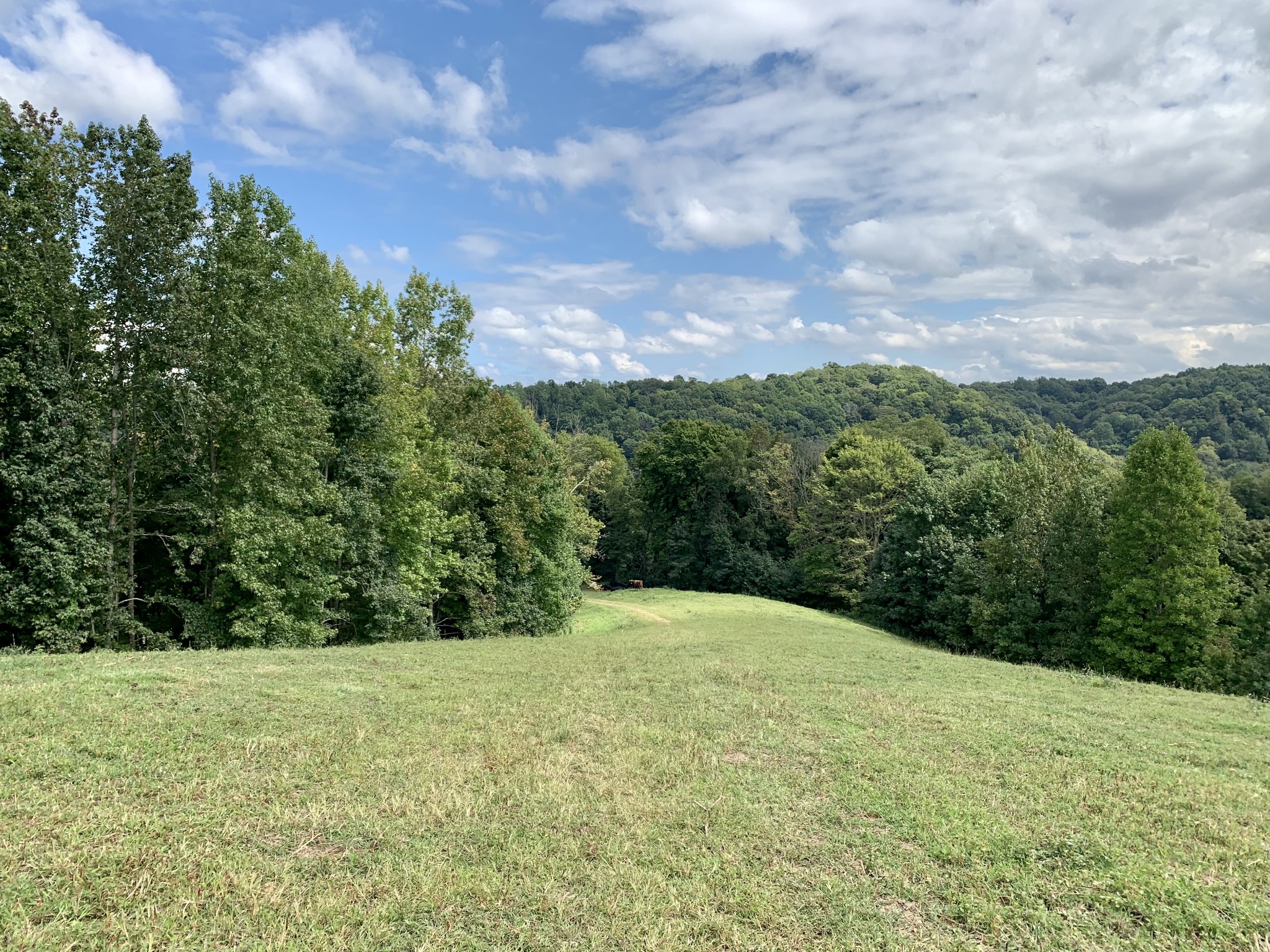 0 Tucker Ridge Road Silver Point, TN 38582 - Photo 11 of 50