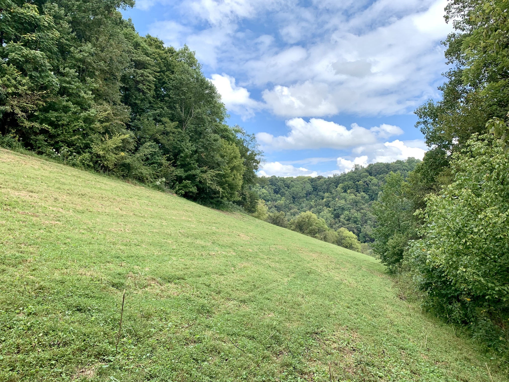 0 Tucker Ridge Road Silver Point, TN 38582 - Photo 13 of 50 a view of a big yard with lots of green space