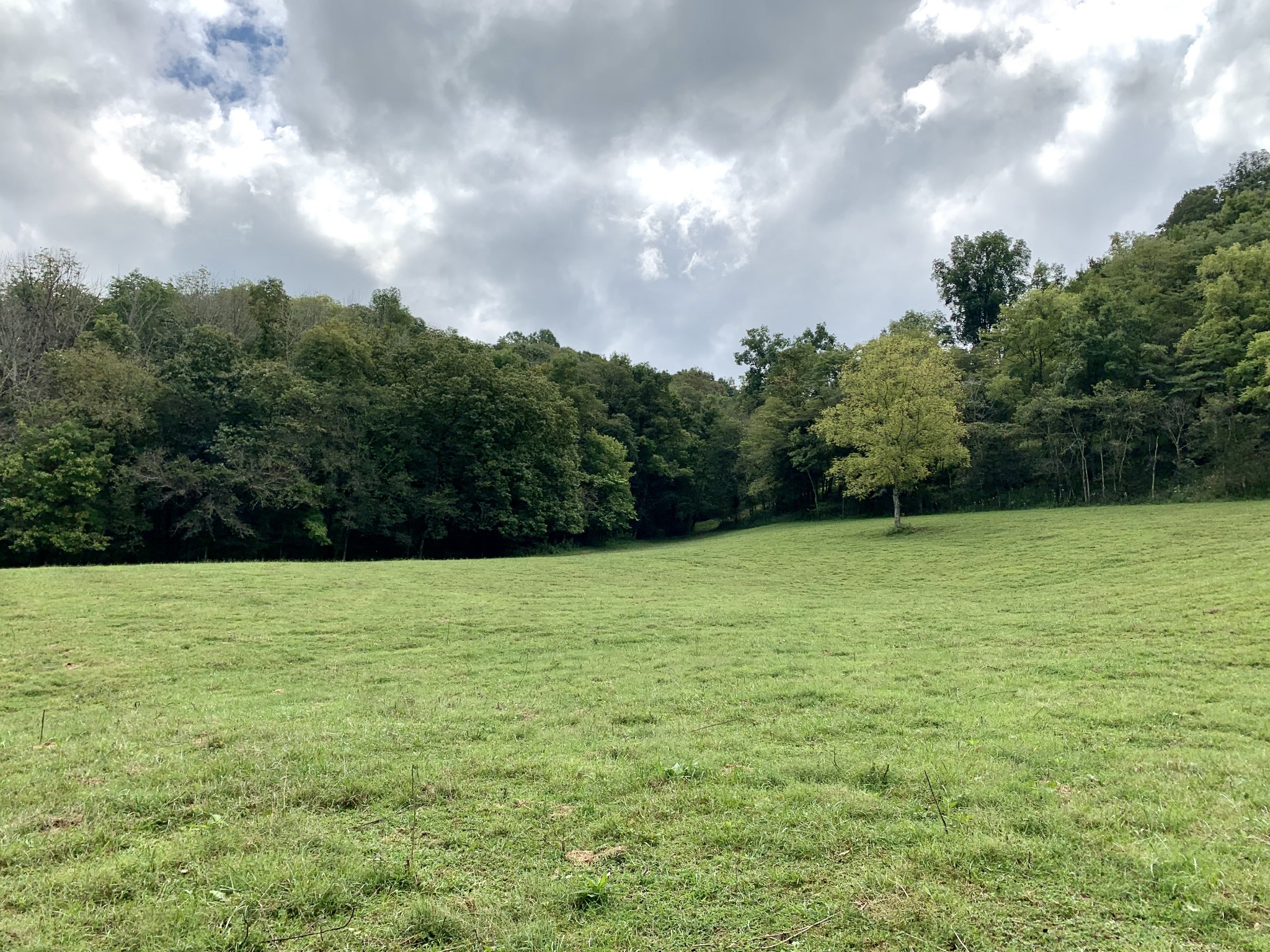 0 Tucker Ridge Road Silver Point, TN 38582 - Photo 17 of 50 a view of outdoor space and yard