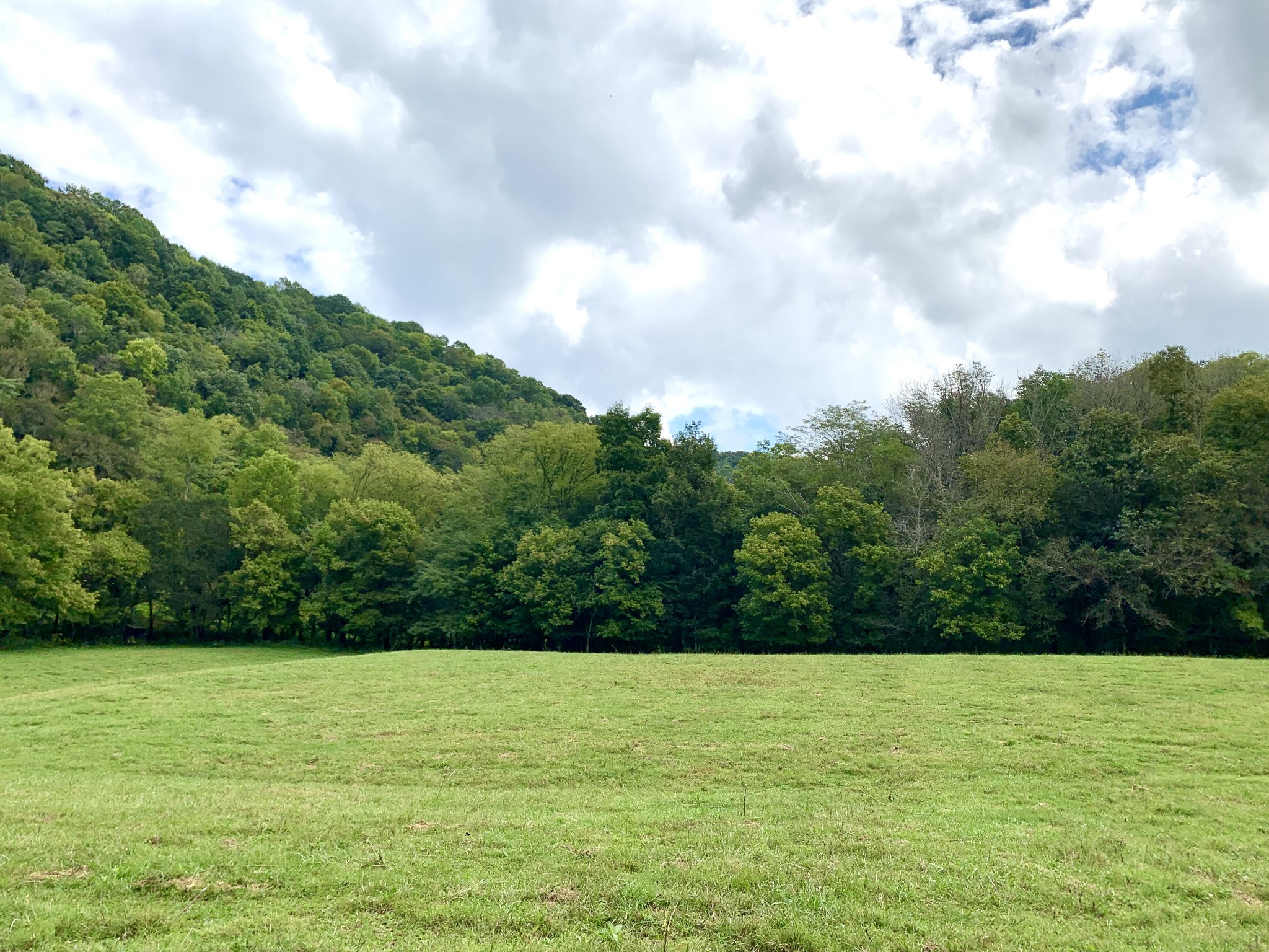 0 Tucker Ridge Road Silver Point, TN 38582 - Photo 19 of 50 a view of a field with an trees in the background