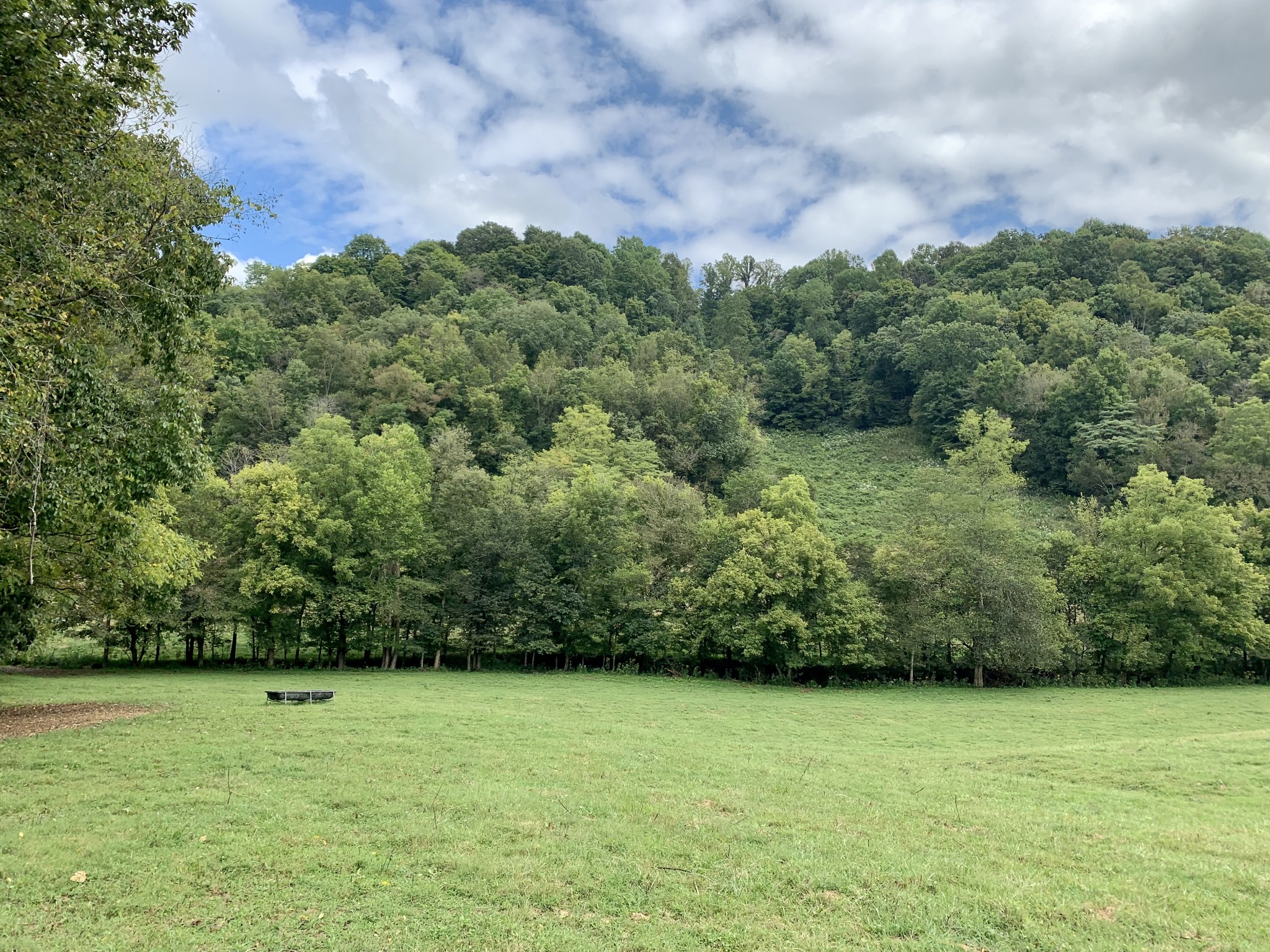 0 Tucker Ridge Road Silver Point, TN 38582 - Photo 20 of 50 a view of a green yard