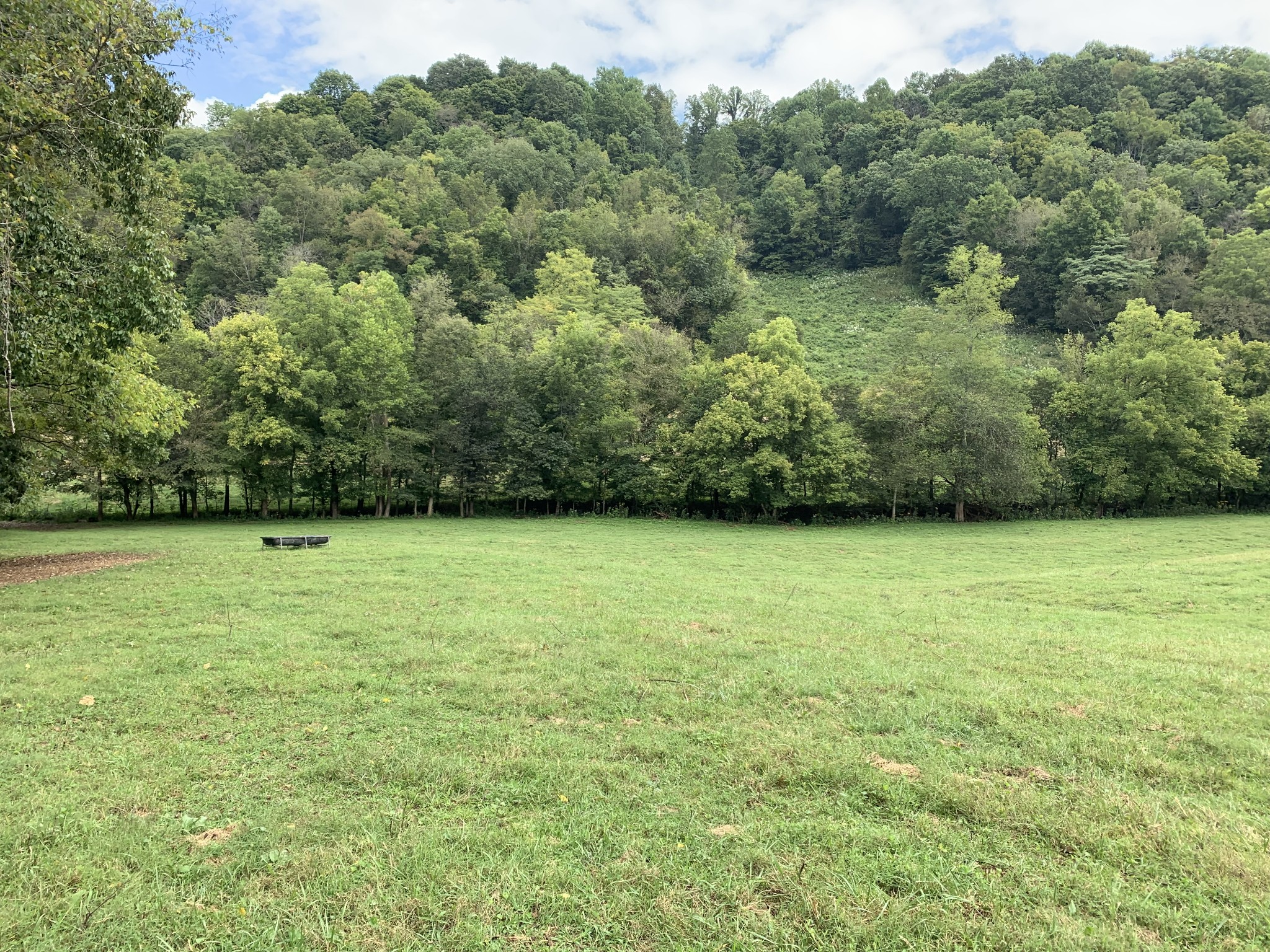 0 Tucker Ridge Road Silver Point, TN 38582 - Photo 21 of 50 a view of a yard