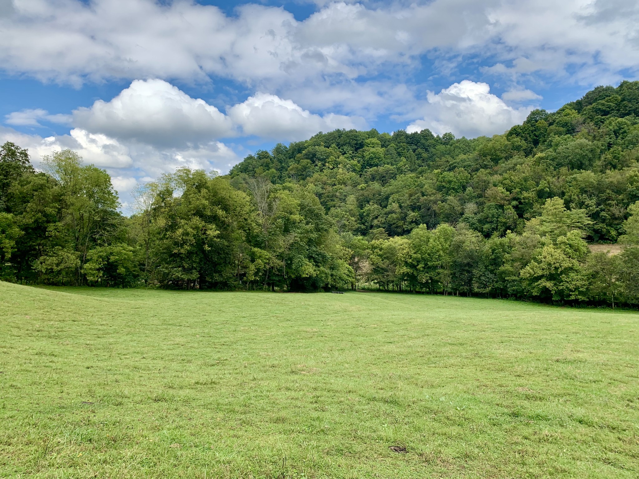 0 Tucker Ridge Road Silver Point, TN 38582 - Photo 22 of 50 a view of a field of grass and trees