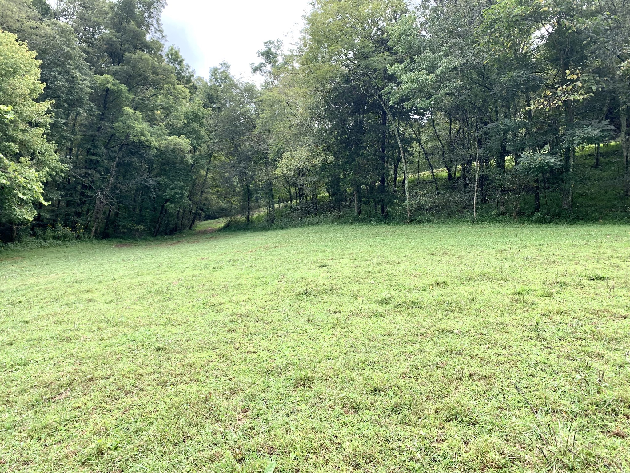 0 Tucker Ridge Road Silver Point, TN 38582 - Photo 23 of 50 a view of a yard with a trees