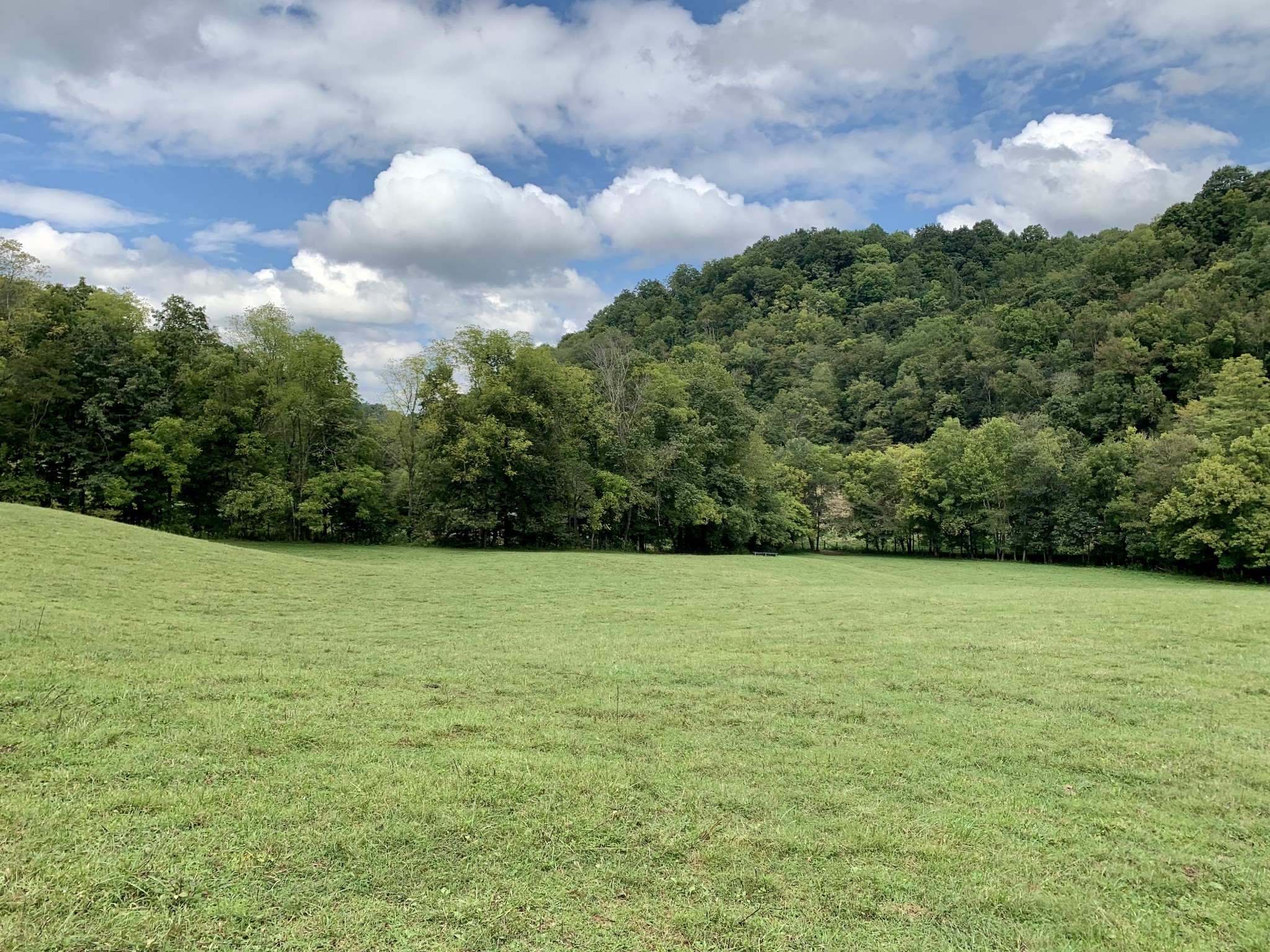 0 Tucker Ridge Road Silver Point, TN 38582 - Photo 24 of 50 a view of a field with an trees