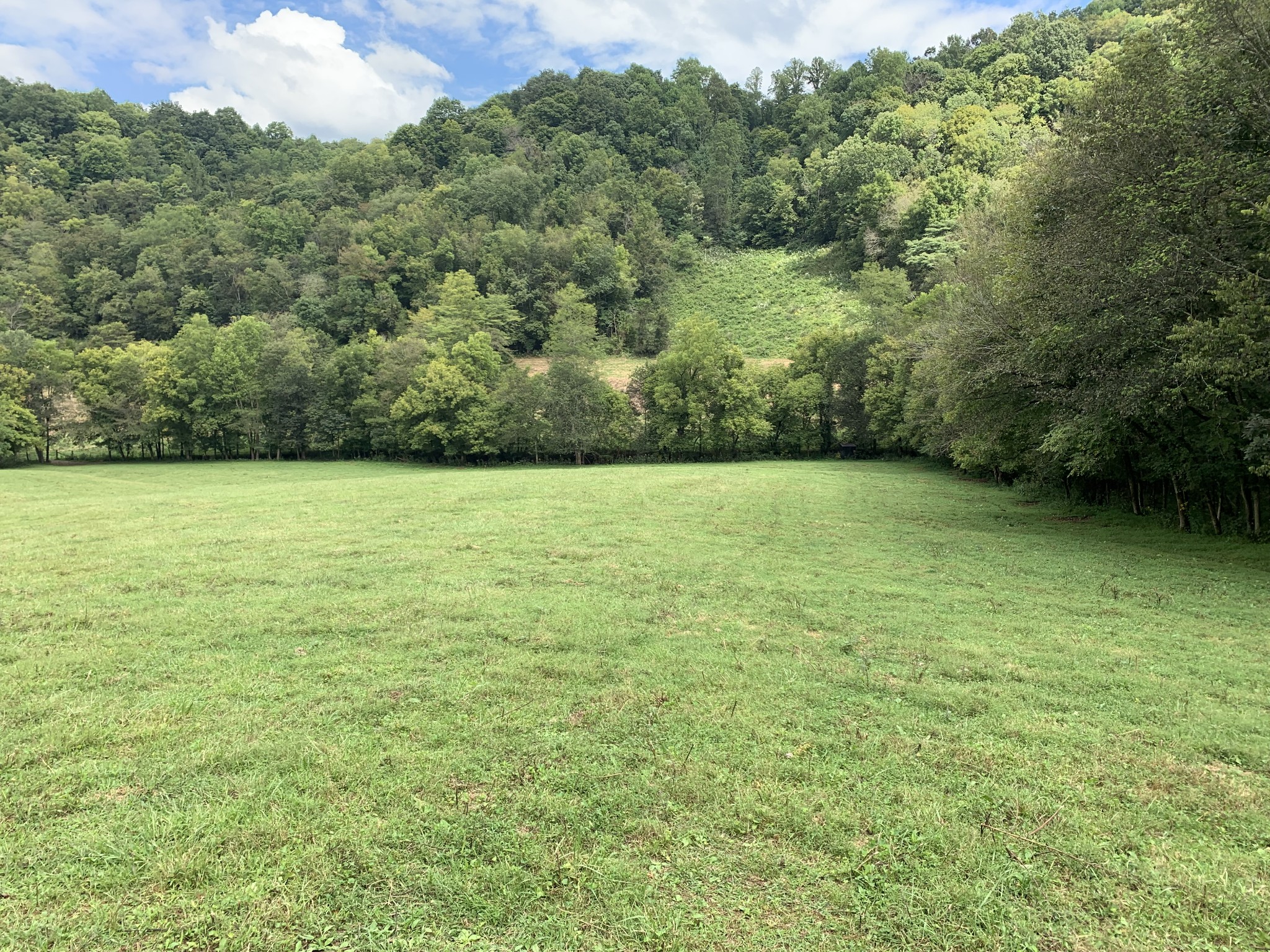 0 Tucker Ridge Road Silver Point, TN 38582 - Photo 25 of 50 a view of a field with a trees in the background