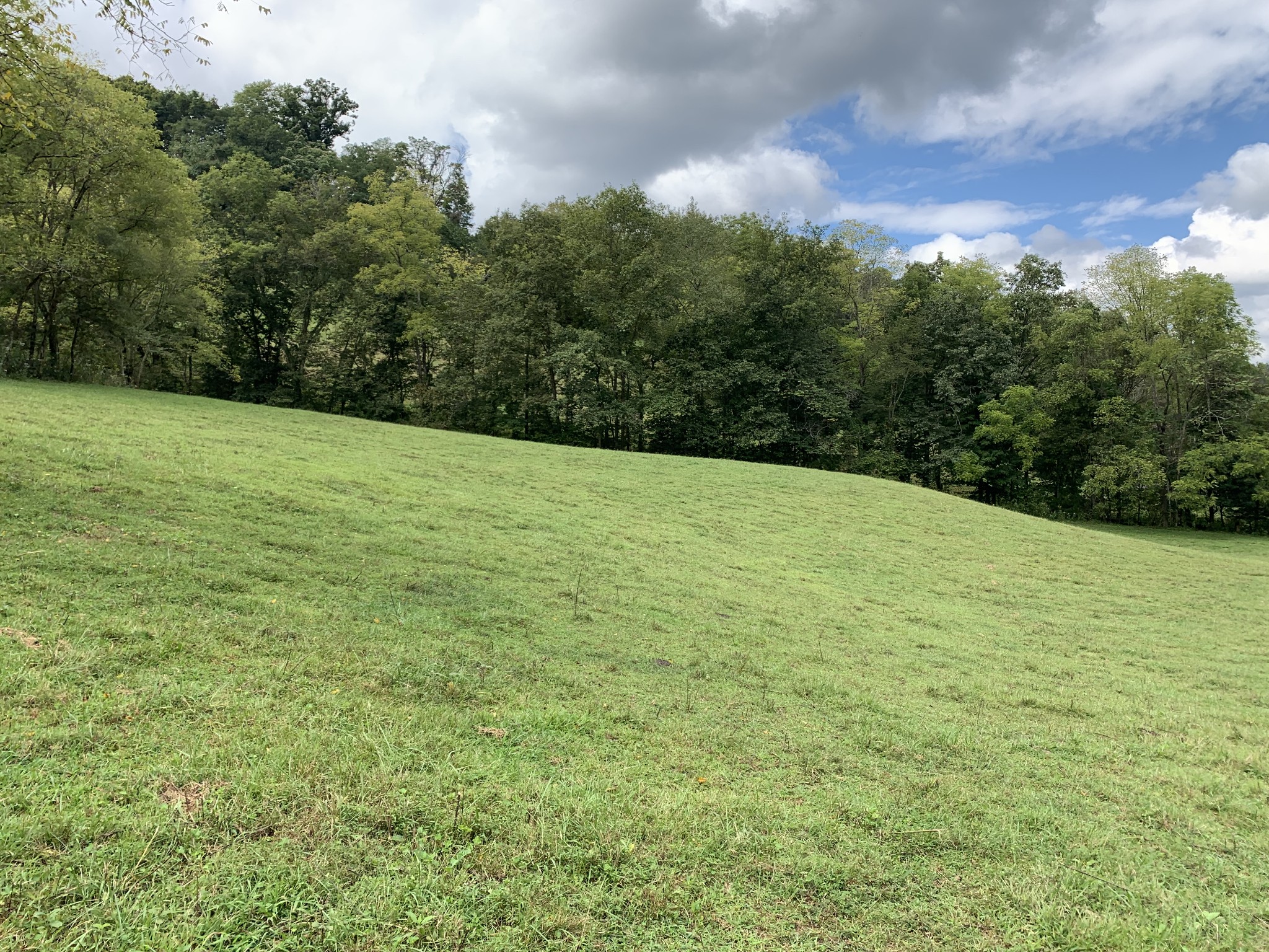 0 Tucker Ridge Road Silver Point, TN 38582 - Photo 26 of 50 a view of outdoor space and yard
