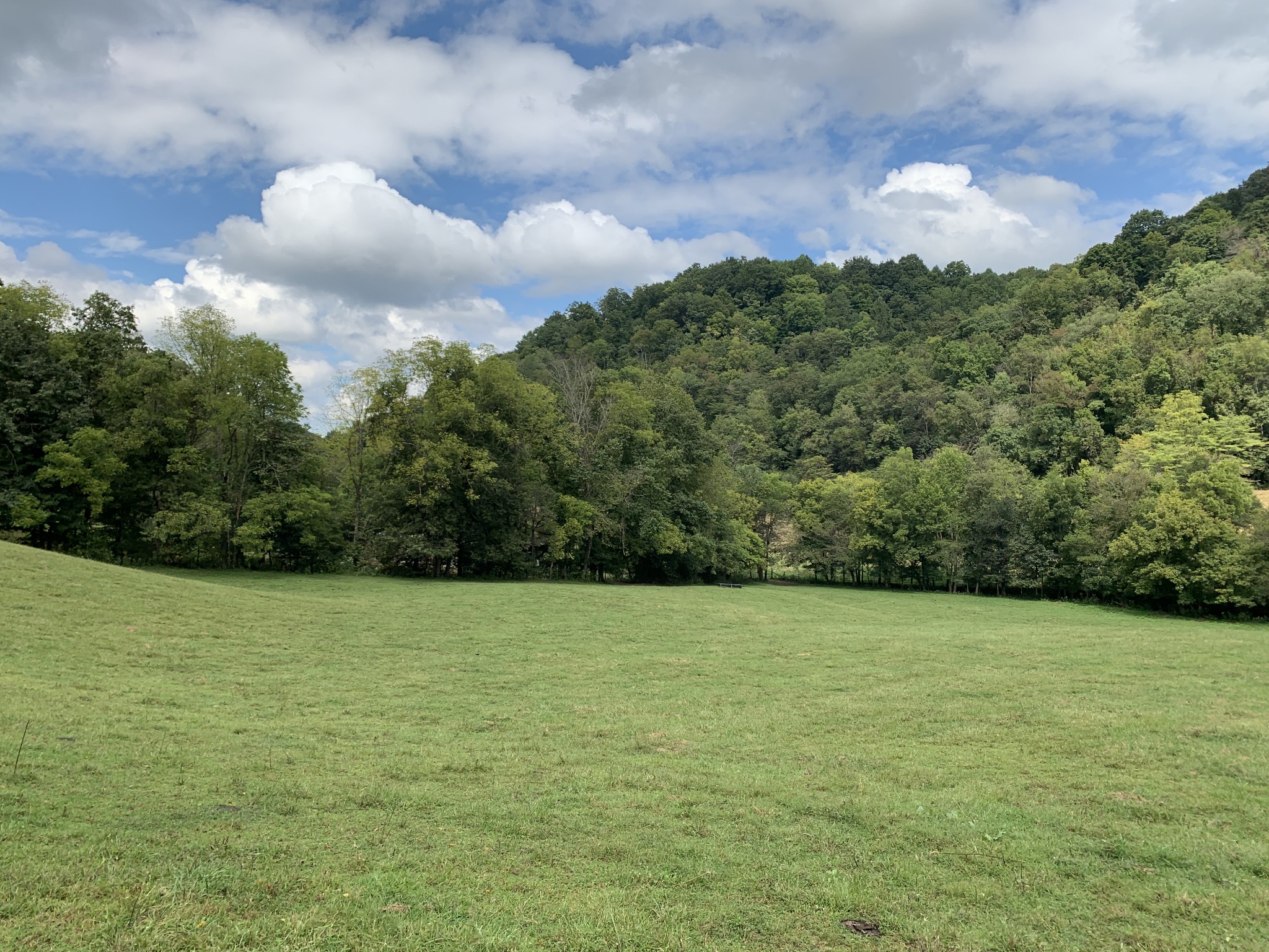 0 Tucker Ridge Road Silver Point, TN 38582 - Photo 27 of 50 a view of a field with a trees in the background