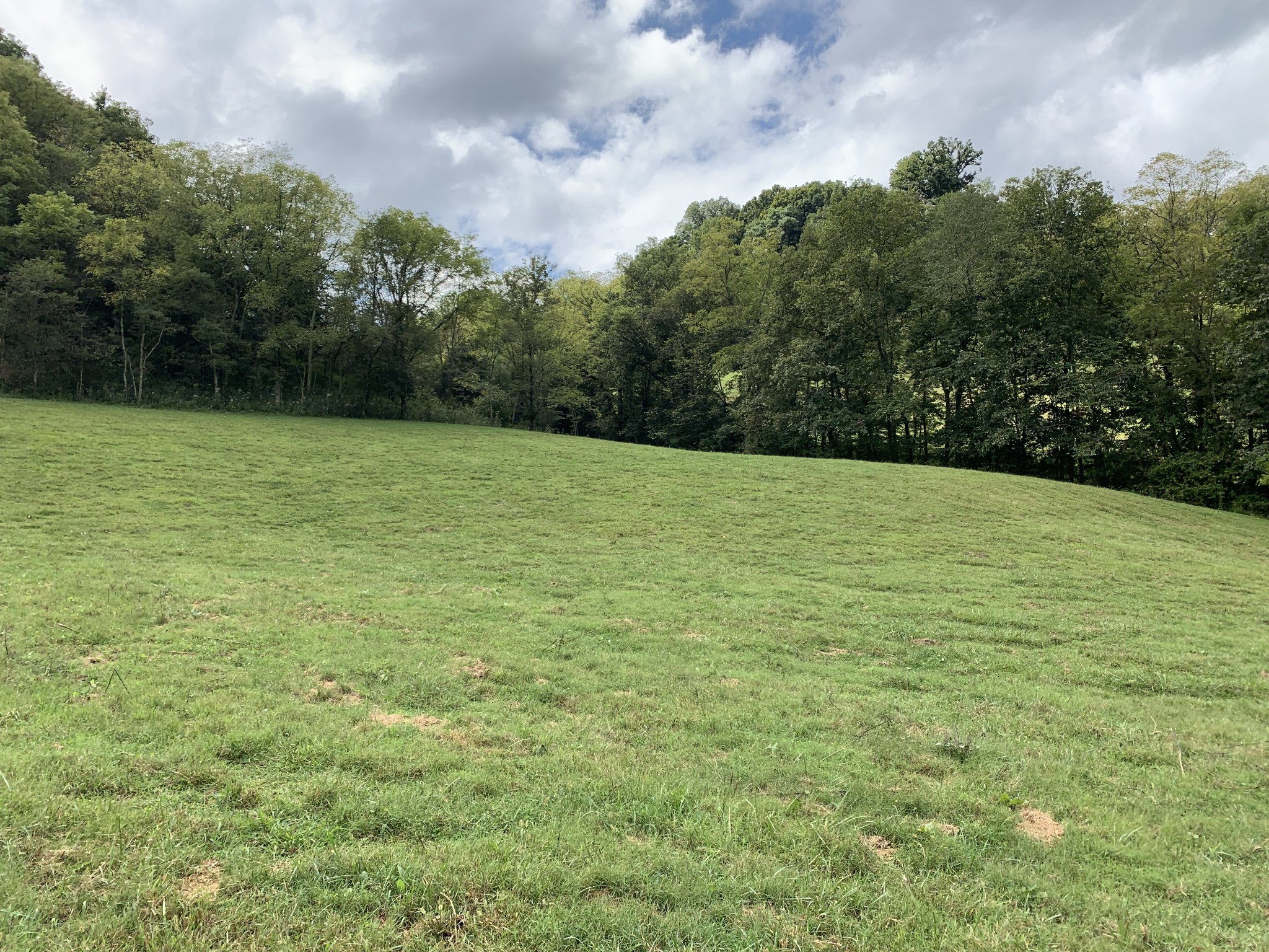 0 Tucker Ridge Road Silver Point, TN 38582 - Photo 28 of 50 a view of a field with an trees