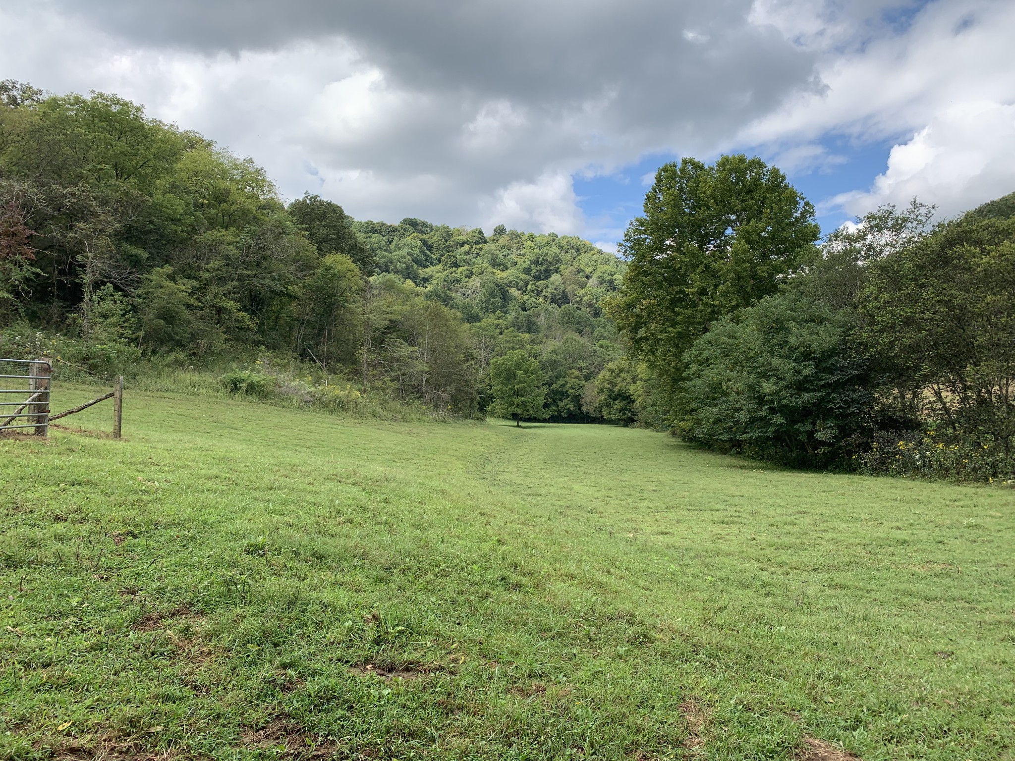 0 Tucker Ridge Road Silver Point, TN 38582 - Photo 29 of 50 a view of an outdoor space and a yard
