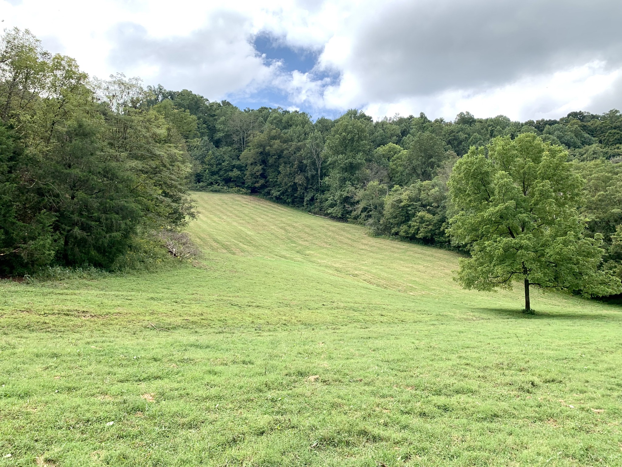 0 Tucker Ridge Road Silver Point, TN 38582 - Photo 30 of 50
