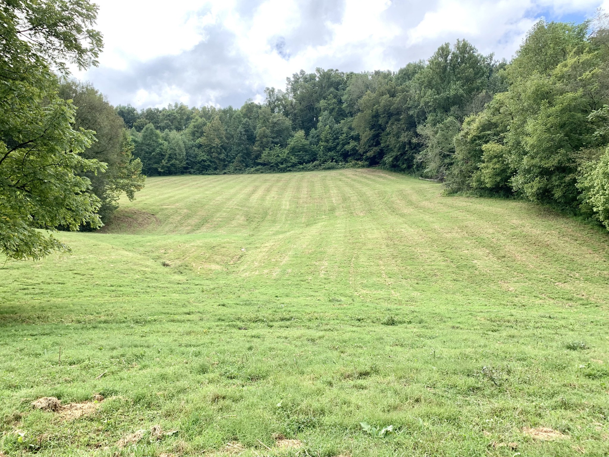 0 Tucker Ridge Road Silver Point, TN 38582 - Photo 31 of 50 a view of a field with an outdoor space