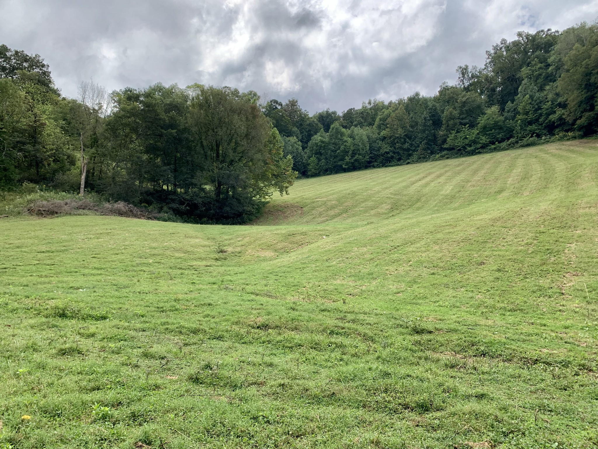 0 Tucker Ridge Road Silver Point, TN 38582 - Photo 32 of 50 a view of a field with an ocean