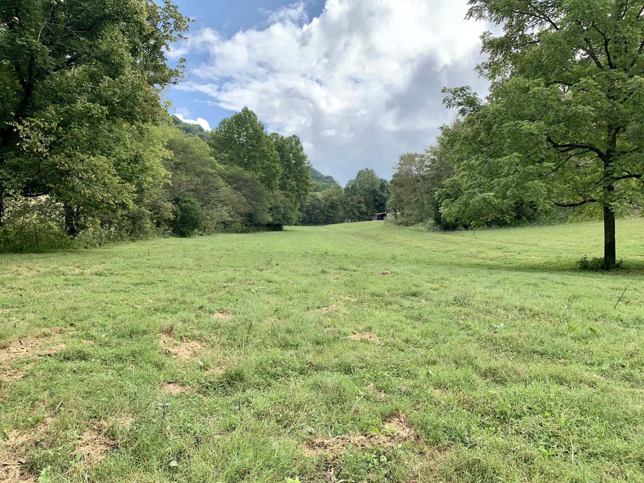 0 Tucker Ridge Road Silver Point, TN 38582 - Photo 33 of 50 a view of field with trees in the background