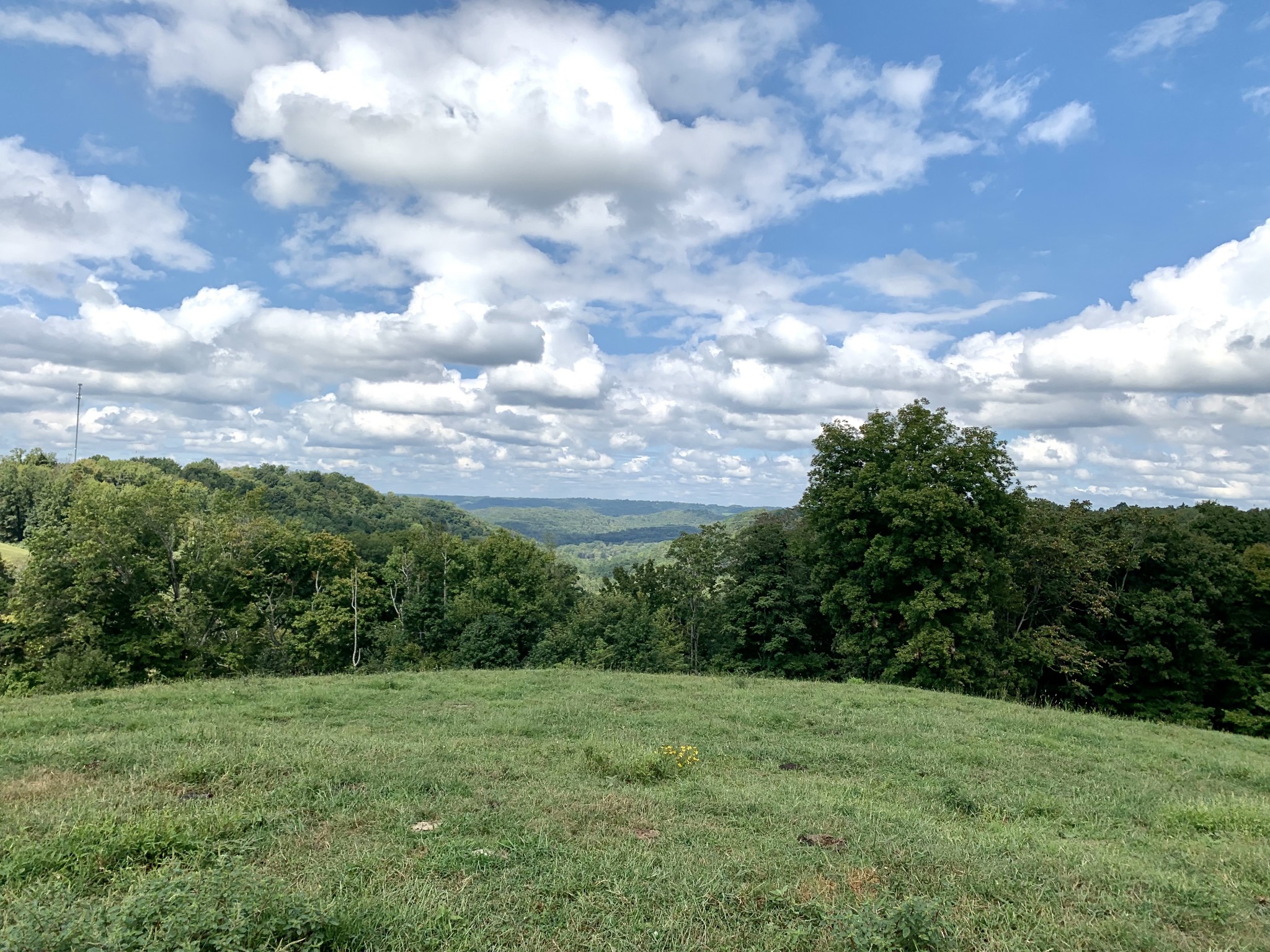 0 Tucker Ridge Road Silver Point, TN 38582 - Photo 35 of 50 a view of a big yard with lots of green space