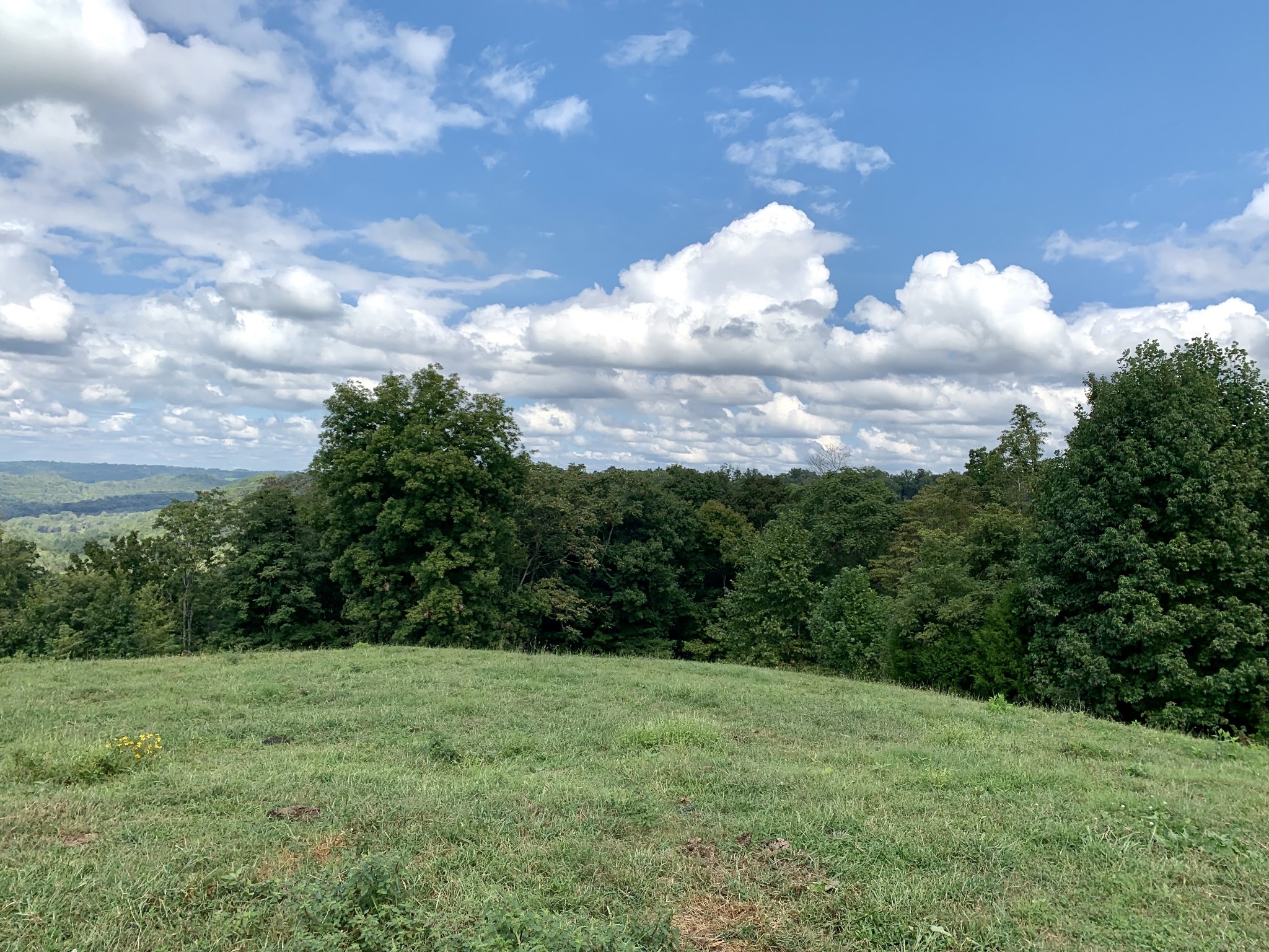 0 Tucker Ridge Road Silver Point, TN 38582 - Photo 36 of 50 a view of a yard