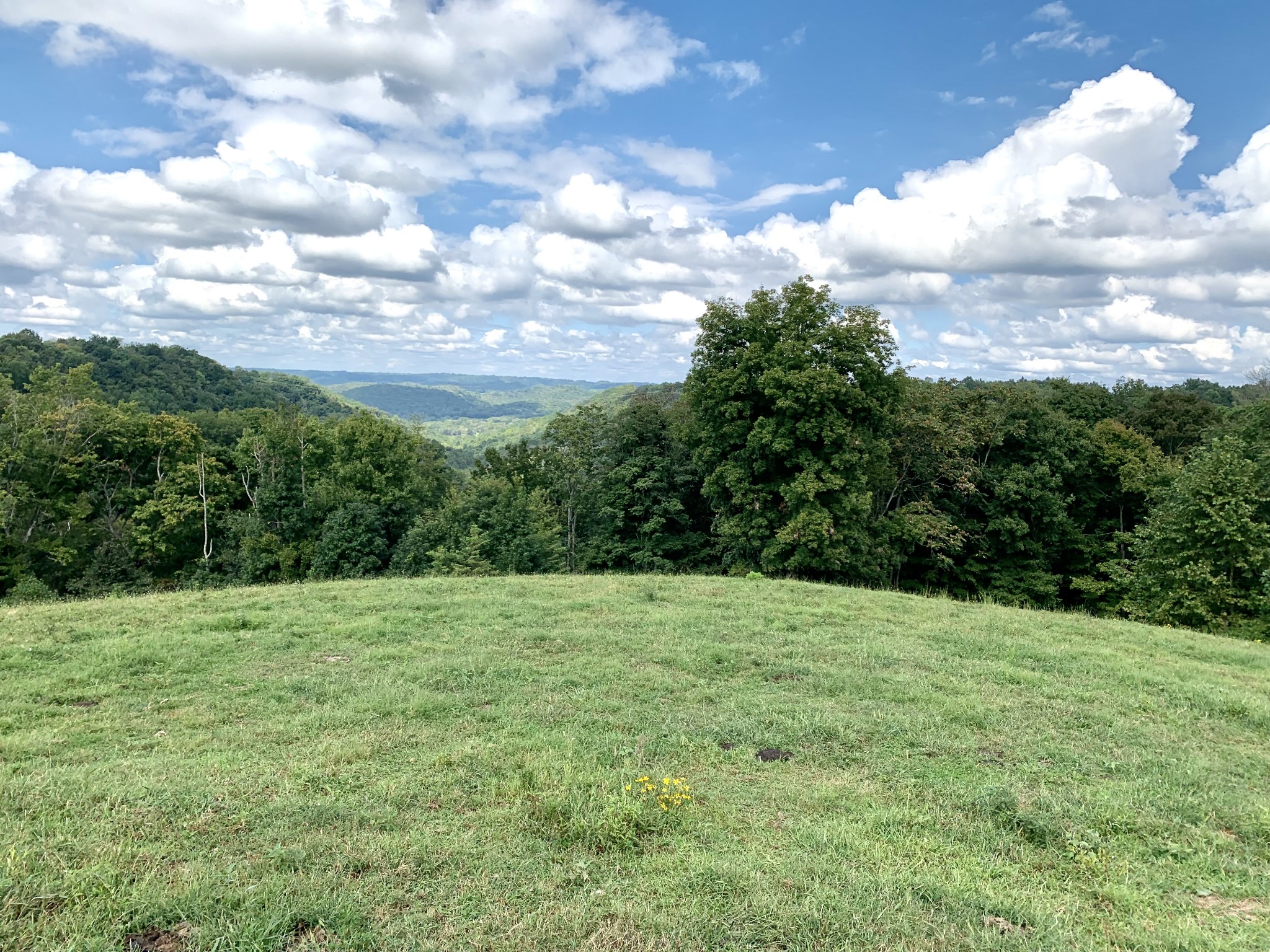 0 Tucker Ridge Road Silver Point, TN 38582 - Photo 40 of 50 a view of grassy field with trees