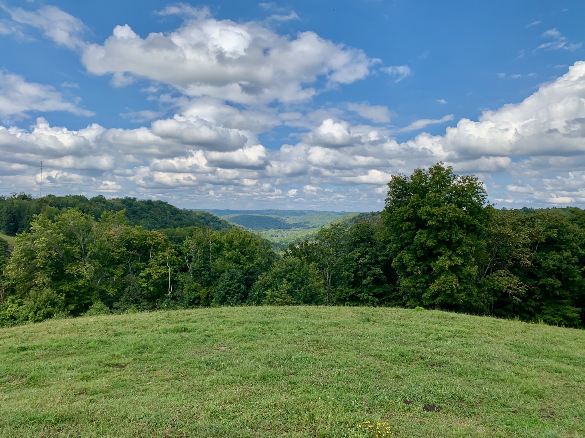 0 Tucker Ridge Road Silver Point, TN 38582 - Photo 41 of 50 a view of a big yard with plants and large trees