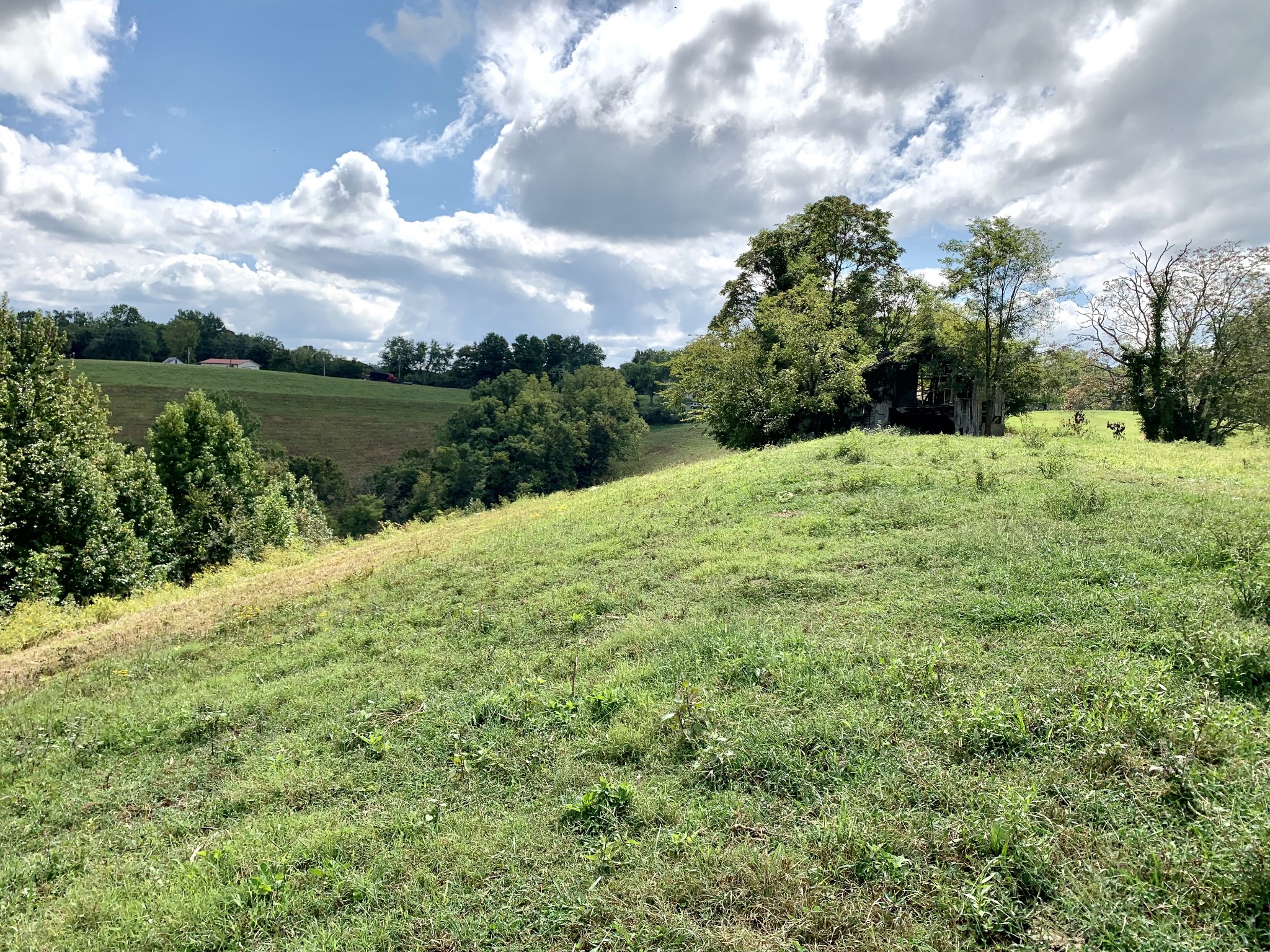 0 Tucker Ridge Road Silver Point, TN 38582 - Photo 45 of 50 a view of a lake with a yard