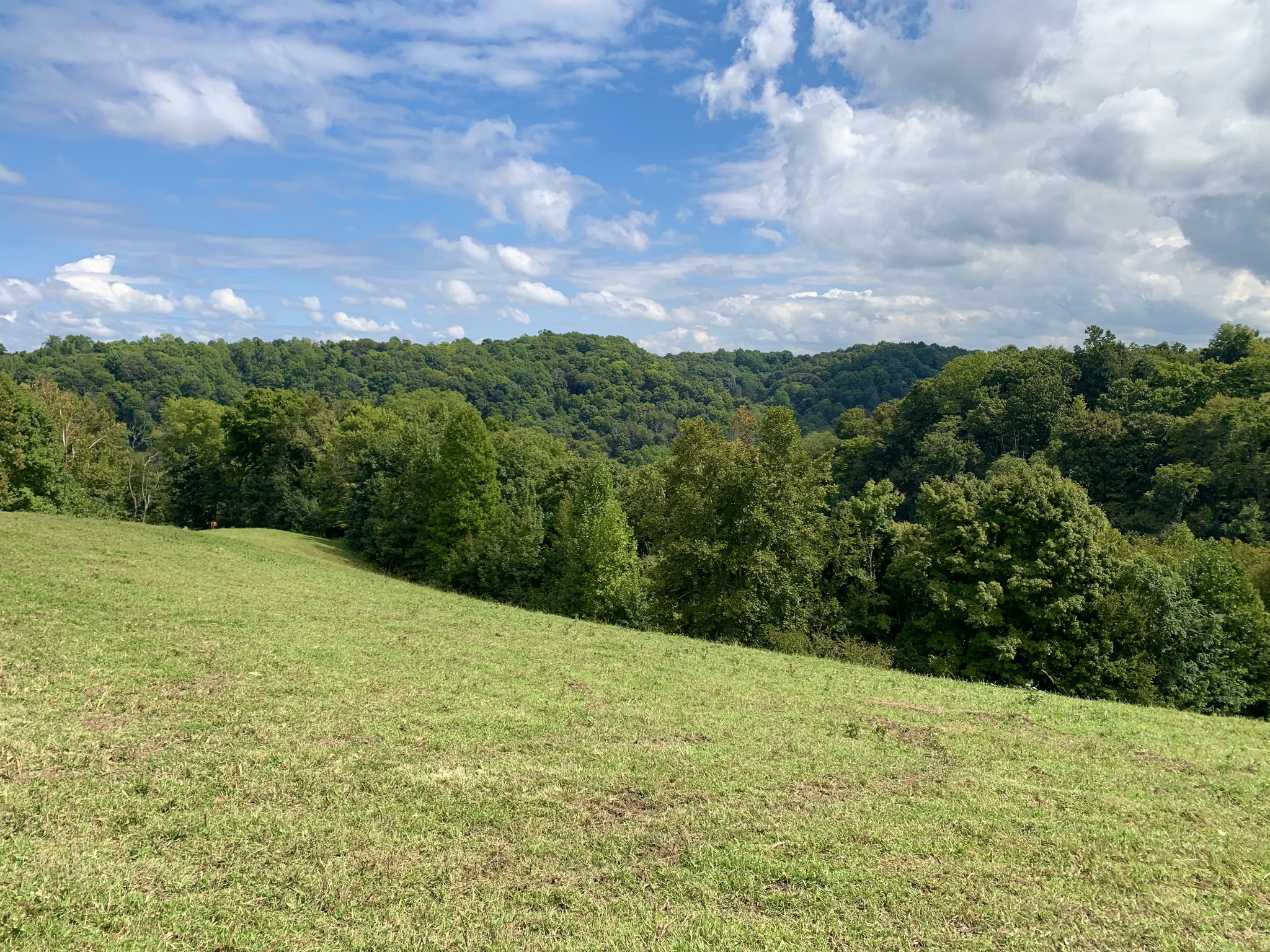 0 Tucker Ridge Road Silver Point, TN 38582 - Photo 6 of 50