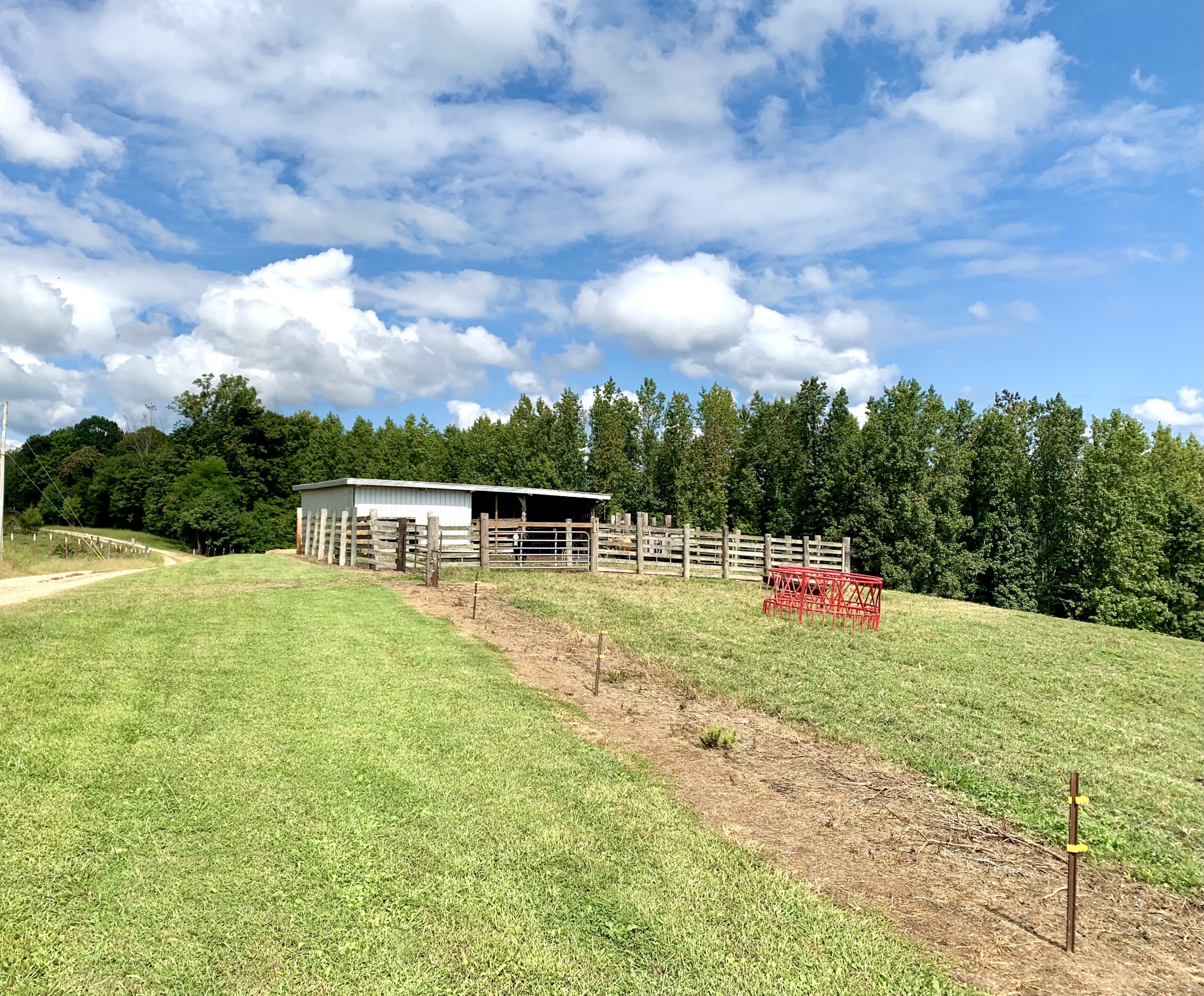 0 Tucker Ridge Road Silver Point, TN 38582 - Photo 7 of 50 a view of a big yard with swimming pool